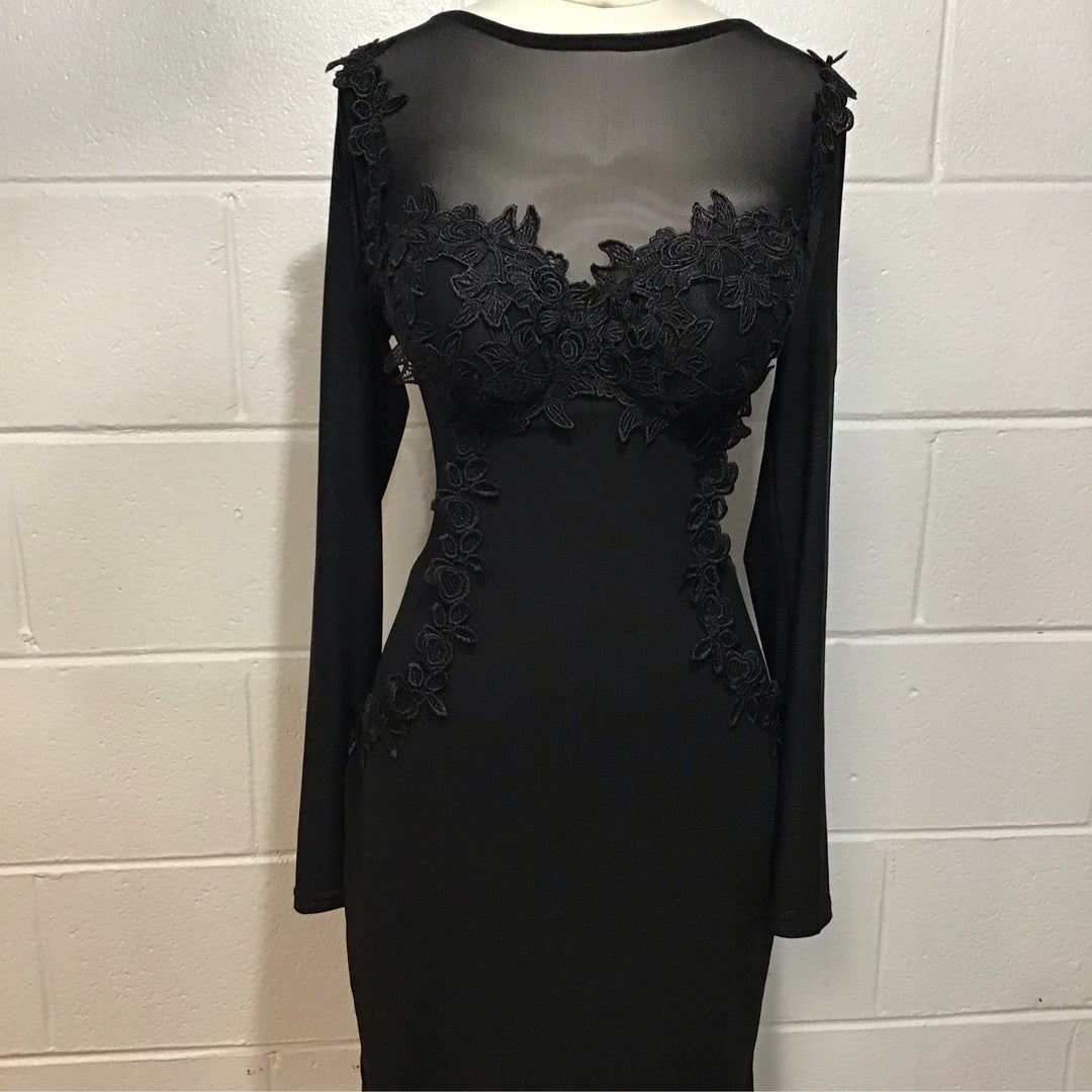 Sheer Black Dress