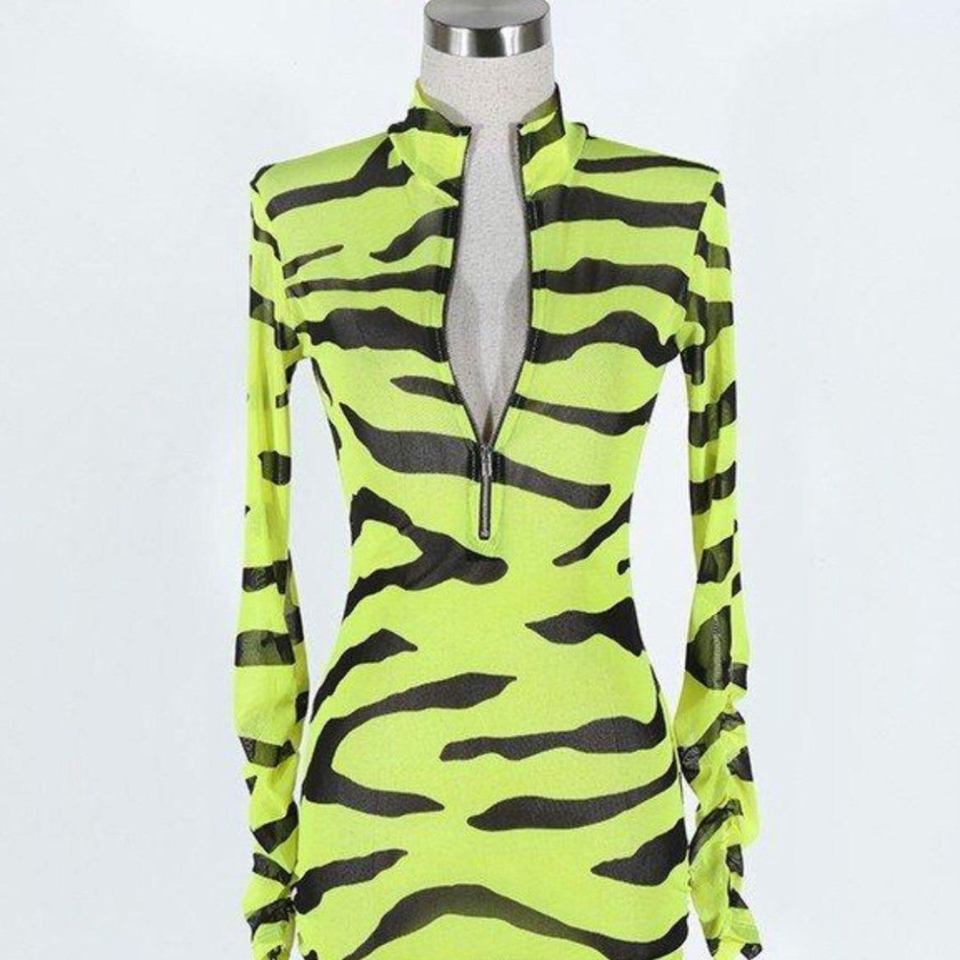 Zebra Print Mesh Dress