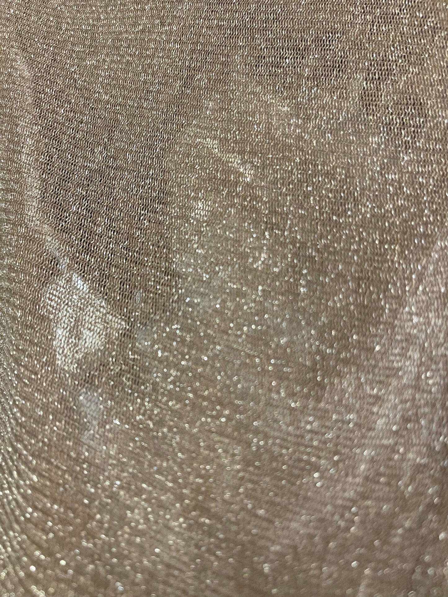 Mesh Sparkly Top
