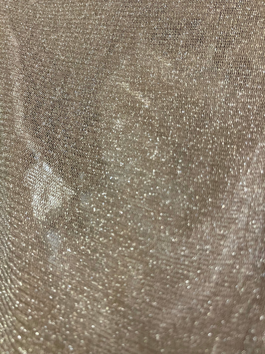 Mesh Sparkly Top