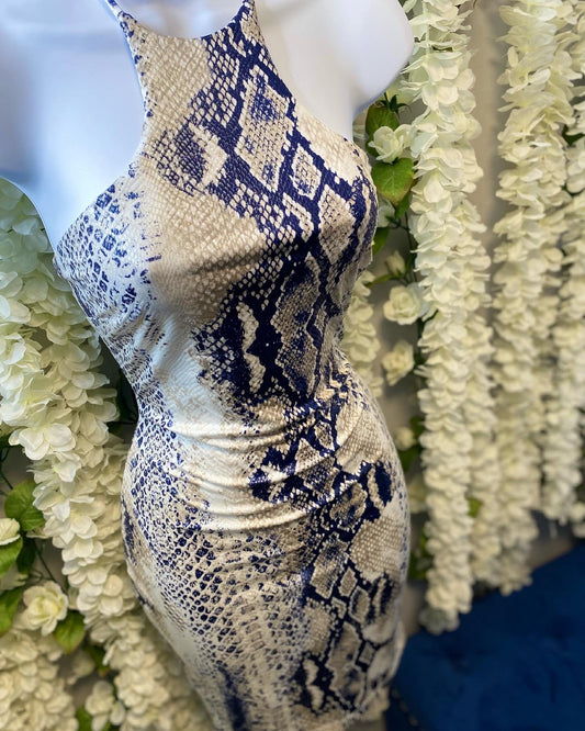 Skin Dress