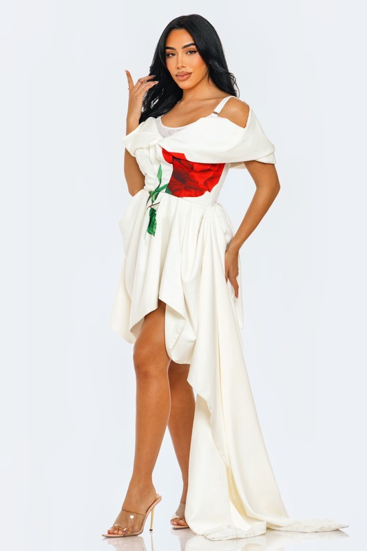 Asymmetric Off-Shoulder Floral Applique Dress