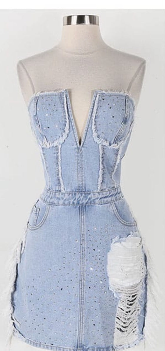 Sparkle Denim Dress