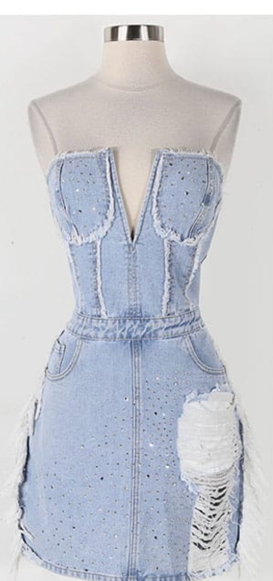 Sparkle Denim Dress