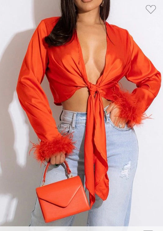 Silken Paws Shirt