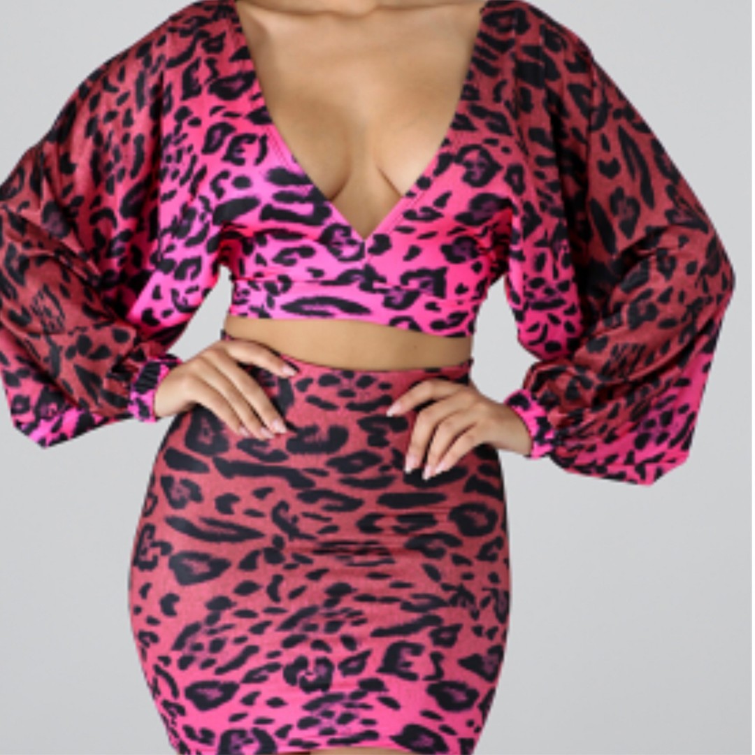 Cheetah skirt clearance set