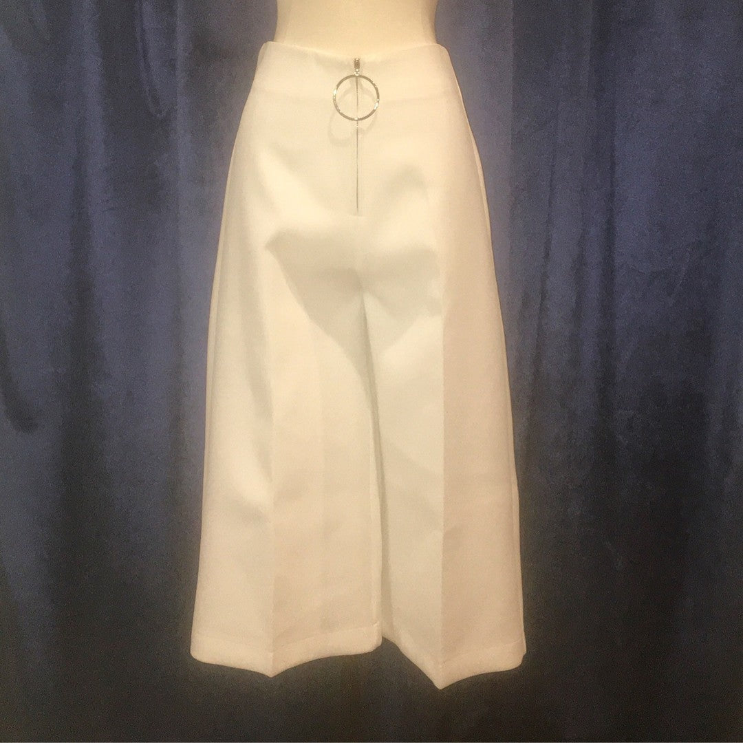 High Waisted Dressy Pants