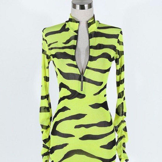 Zebra Print Mesh Dress