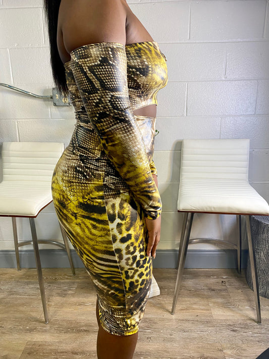 Snake Me