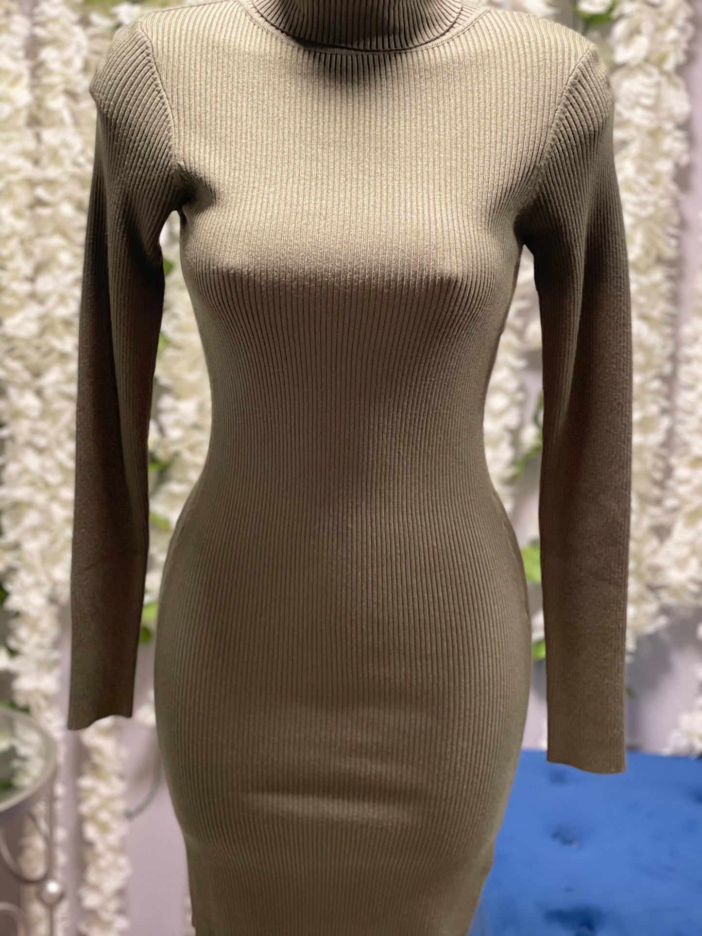 Turtle neck Dress
