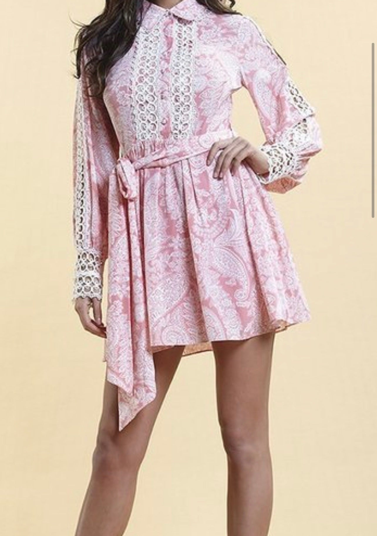 Rosevelvet Dress