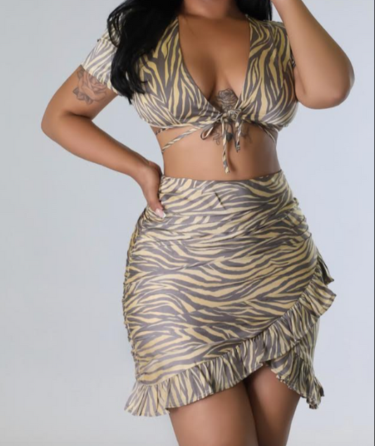 Sanii Skirt Set